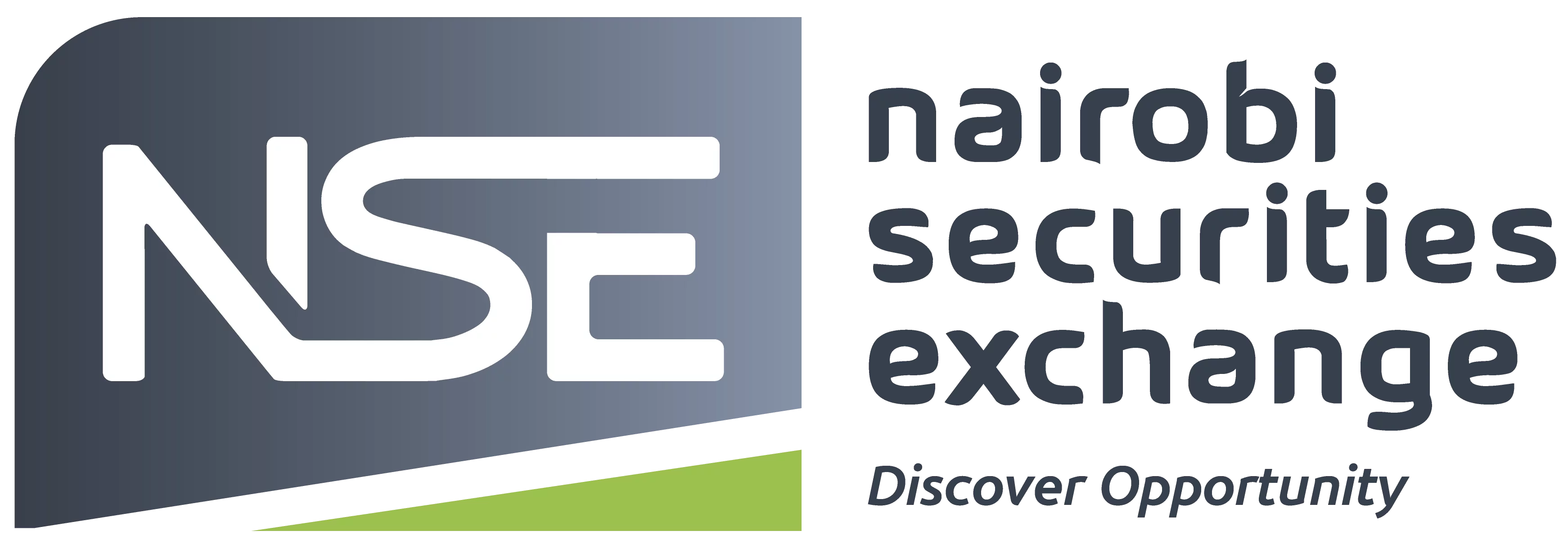 NSE Logo